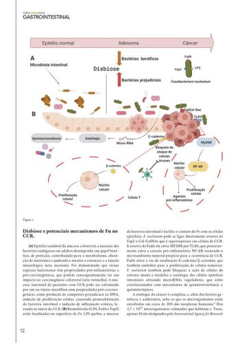 revista_index_img7