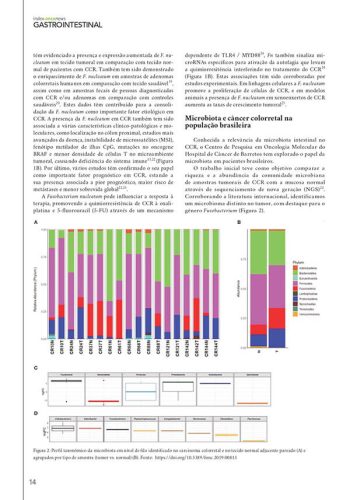 revista_index_img8